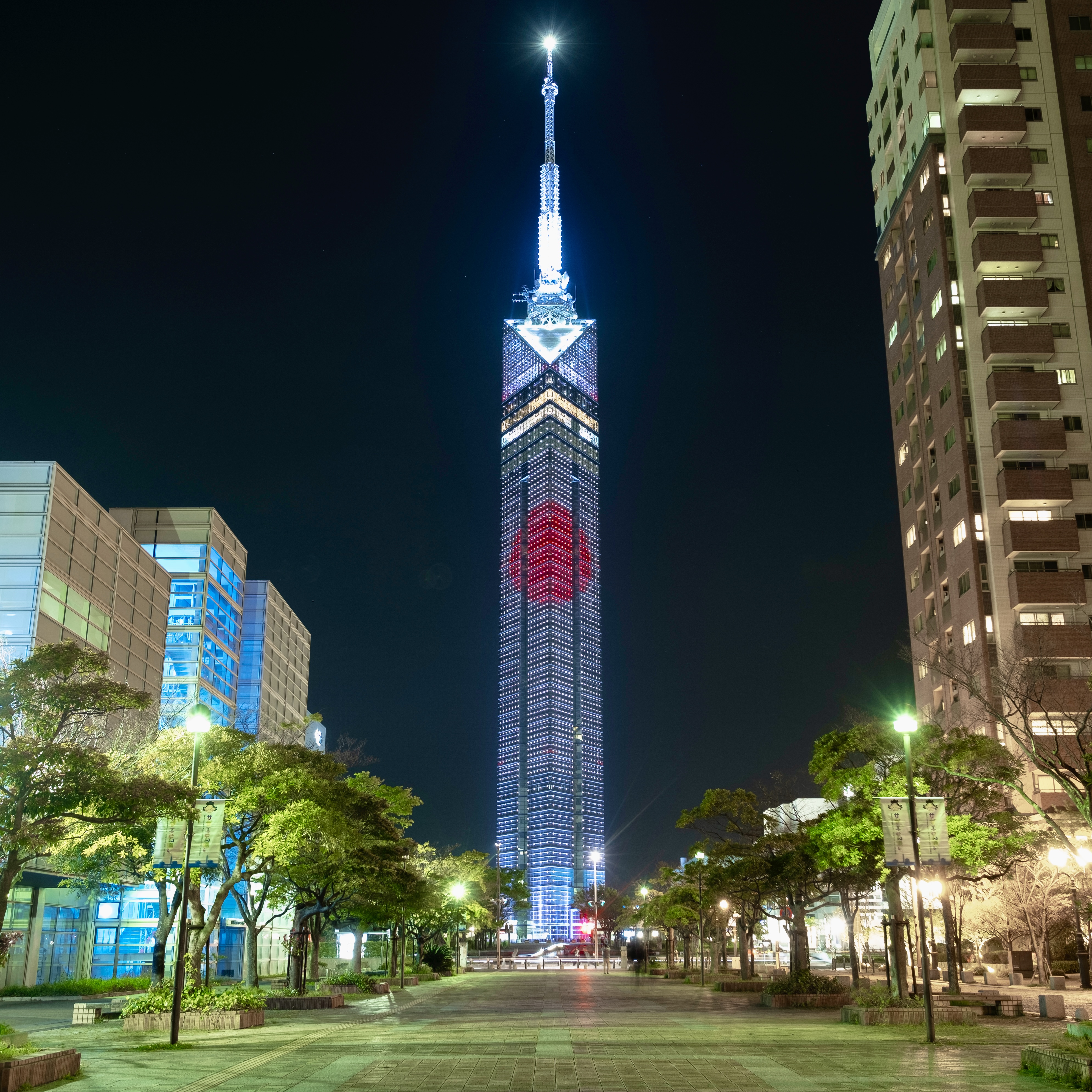 祝･新年イルミネーションを点灯します