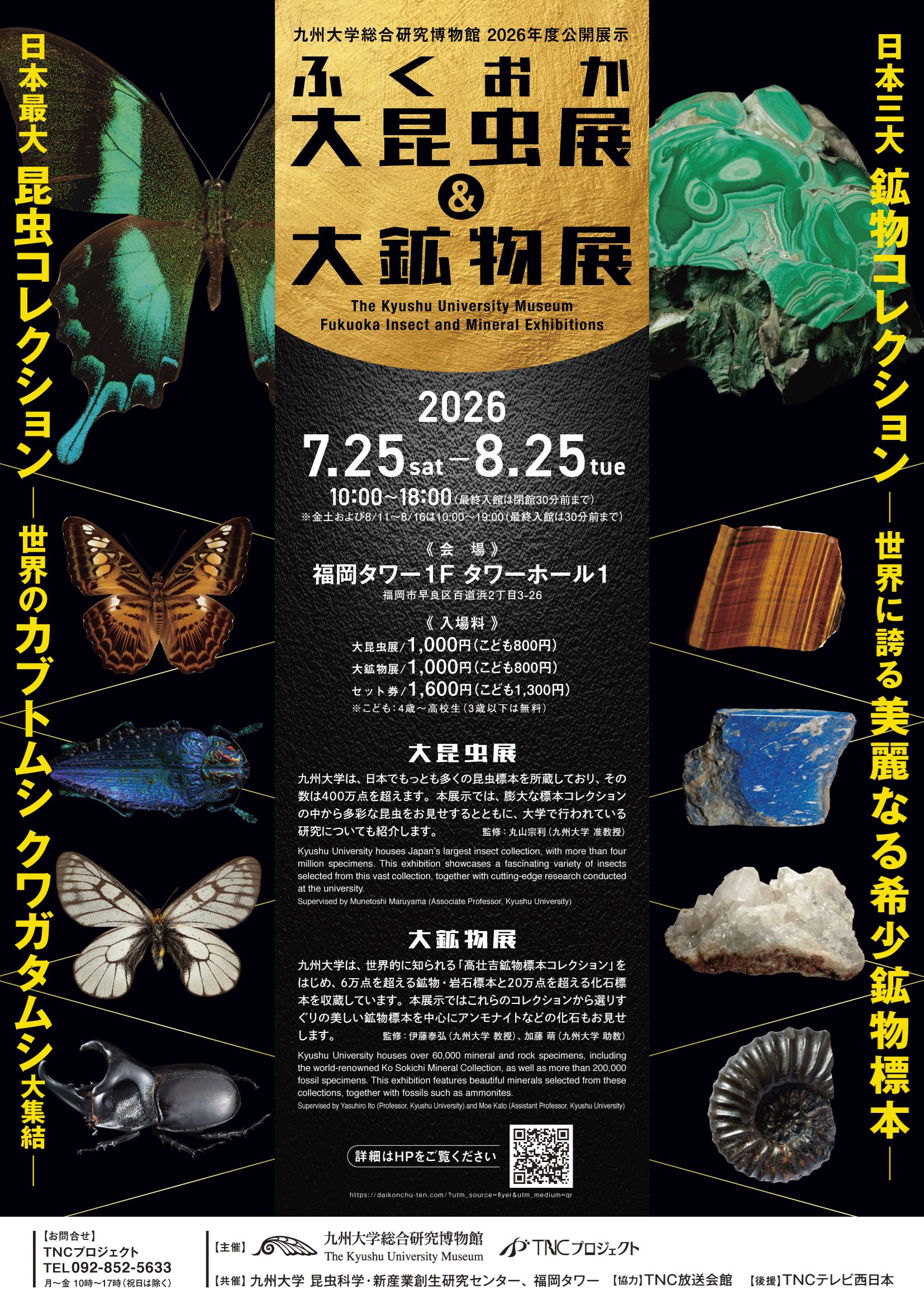 ふくおか大昆虫展&大鉱物展 2026 開催!